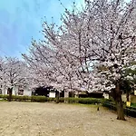 Kotori House - Vacation Stay 05673V